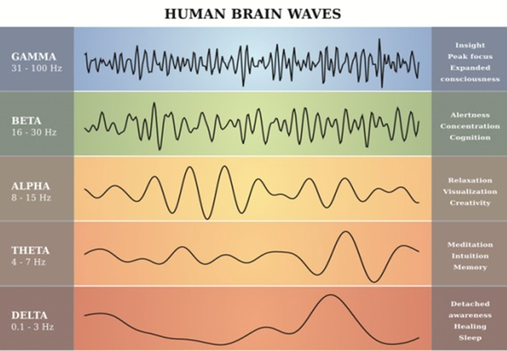 Understand your brain